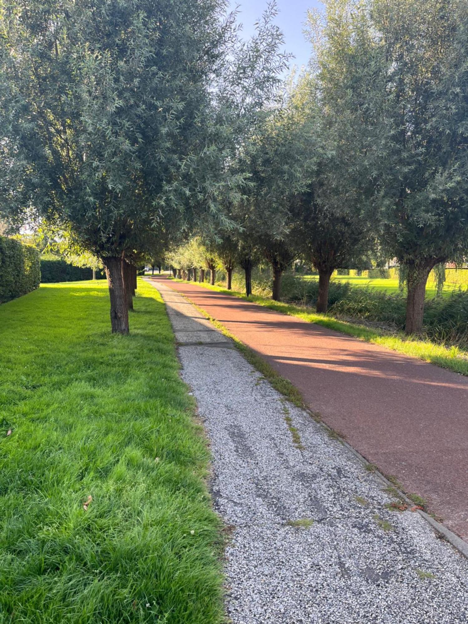Huisje36 Middelburg Dış mekan fotoğraf