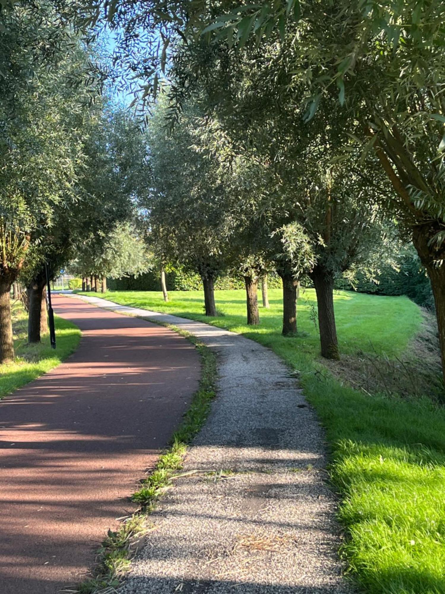 Huisje36 Middelburg Dış mekan fotoğraf