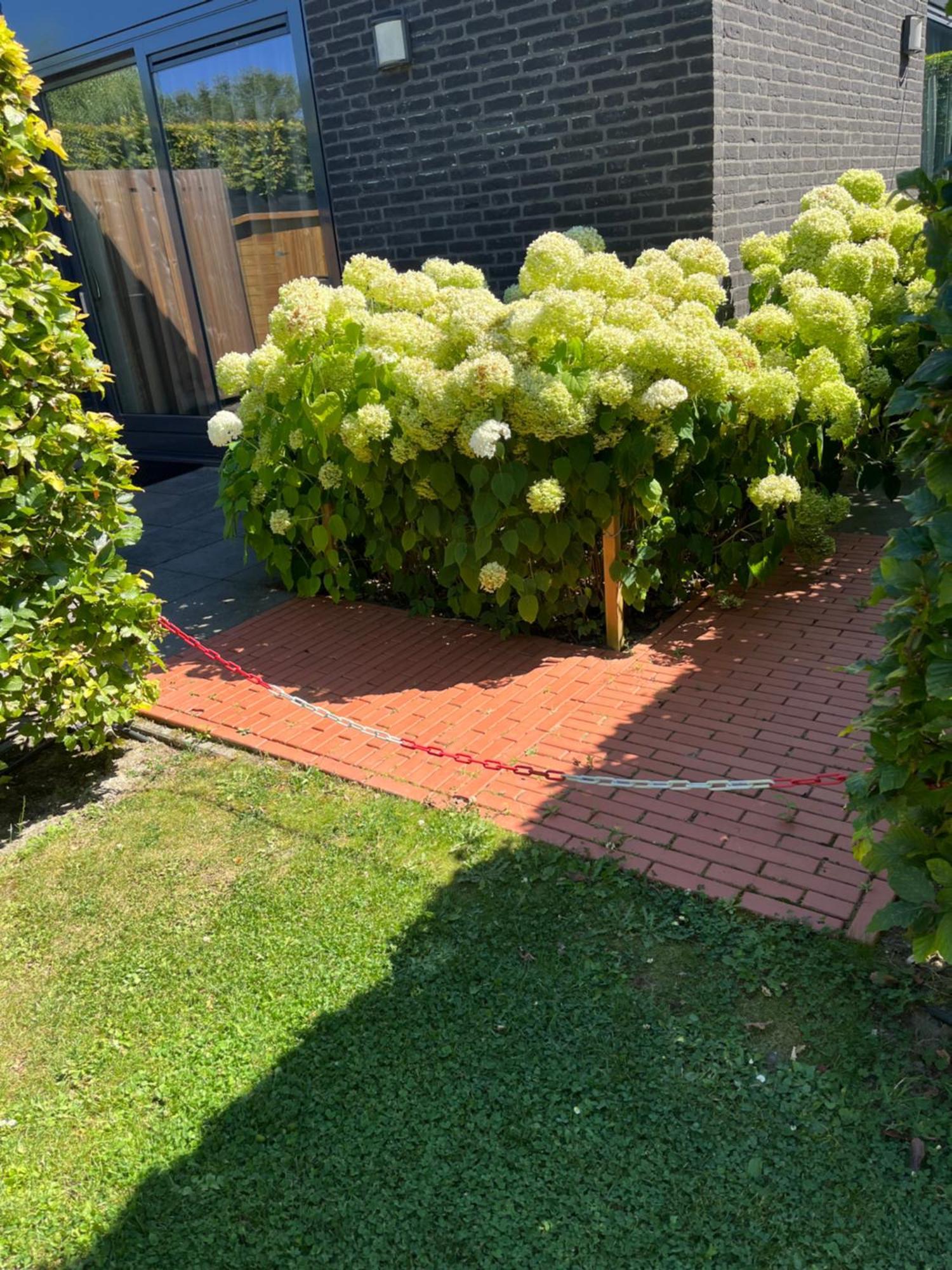 Huisje36 Middelburg Dış mekan fotoğraf